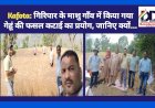 Kafota: गिरिपार के माशु गाँव में किया गया गेहूं की फसल कटाई का प्रयोग, जानिए क्यों... ddnewsportal.com