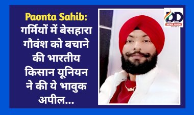 Paonta Sahib: गर्मियों में बेसहारा गौवंश को बचाने की भारतीय किसान यूनियन ने की ये भावुक अपील... ddnewsportal.com