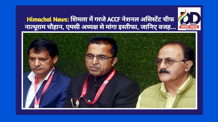 Himachal News: शिमला में गरजे ACCF नेशनल असिस्टेंट चीफ नात्थूराम चौहान, एमसी अध्यक्ष से मांगा इस्तीफा, जानिए वजह... ddnewsportal.com
