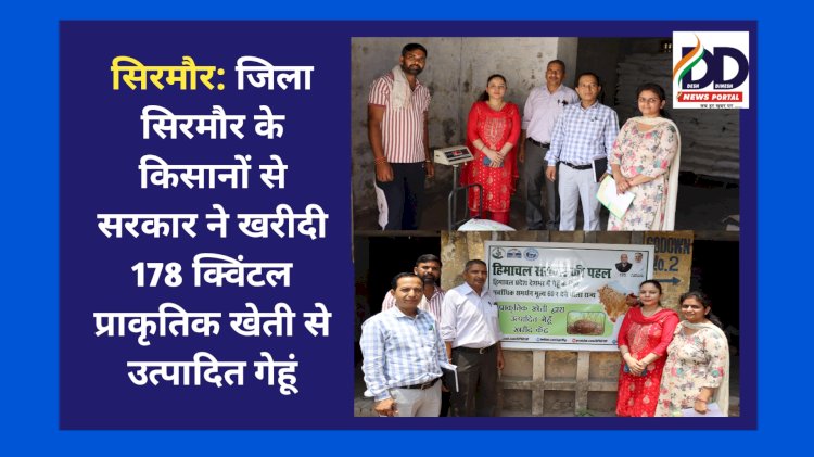 सिरमौर: जिला सिरमौर के किसानों से सरकार ने खरीदी 178 क्विंटल प्राकृतिक खेती से उत्पादित गेहूं ddnewsportal.com