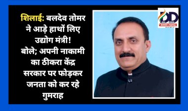 शिलाई: बलदेव तोमर ने आड़े हाथों लिए उद्योग मंत्री, बोले, अपनी नाकामी का ठीकरा केंद्र सरकार पर फोड़कर जनता को कर रहे गुमराह ddnewsportal.com