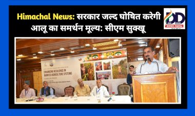 Himachal News: हिमाचल सरकार जल्द घोषित करेगी आलू का समर्थन मूल्य: मुख्यमंत्री  ddnewsportal.com