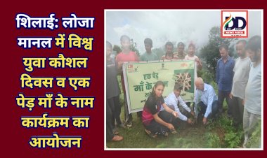 शिलाई: लोजा मानल में विश्व युवा कौशल दिवस व एक पेड़ माँ के नाम कार्यक्रम का आयोजन ddnewsportal.com