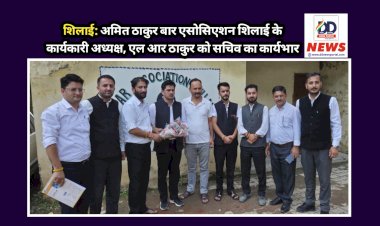 शिलाई: अमित ठाकुर बार एसोसिएशन शिलाई के कार्यकारी अध्यक्ष, एल आर ठाकुर को सचिव का कार्यभार ddnewsportal.com