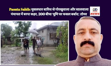 Paonta Sahib: मूसलधार बारिश से गोरखुवाला और सालवाला पंचायत में बरपा कहर, 200 बीघा भूमि पर फसल बर्बाद: रमेश तोमर  ddnewsportal.com