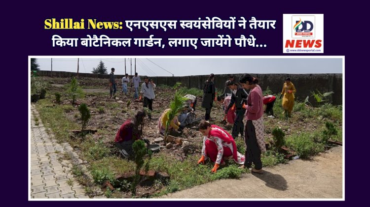 Shillai News: एनएसएस स्वयंसेवियों ने तैयार किया बोटैनिकल गार्डन, लगाए जायेंगे पौधे...  ddnewsportal.com