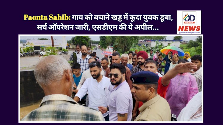 Paonta Sahib: गाय को बचाने खड्ड में कूदा युवक डूबा, सर्च ऑपरेशन जारी, SDM की ये अपील... ddnewsportal.com
