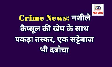 Crime News: नशीले कैप्सूल की खेप के साथ पकड़ा तस्कर, एक सट्टेबाज भी दबोचा  ddnewsportal.com