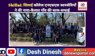 Shillai: शिलाई काॅलेज एनएसएस स्वयंसेवियों ने की नाया-कैलात गाँव की साफ-सफाई  ddnewsportal.com