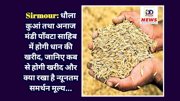Sirmour: धौला कुआं तथा अनाज मंडी पाँवटा साहिब में होगी धान की खरीद, जानिए कब से होगी खरीद और क्या रखा है न्यूनतम समर्थन मूल्य... ddnewsportal.com