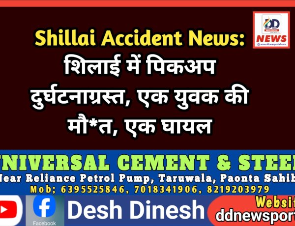 Shillai Accident News: शिलाई में पिकअप दुर्घटनाग्रस्त, एक युवक की मौ*त, एक घायल  ddnewsportal.com