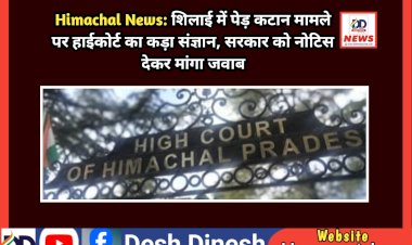 Himachal News: शिलाई में पेड़ कटान मामले पर हाईकोर्ट का कड़ा संज्ञान, सरकार को नोटिस देकर मांगा जवाब ddnewsportal.com