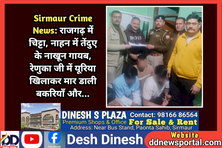 Sirmaur Crime News: राजगढ़ में चिट्टा, नाहन में तेंदुए के नाखून गायब, रेणुका जी में यूरिया खिलाकर मार डाली बकरियाँ और... ddnewsportal.com