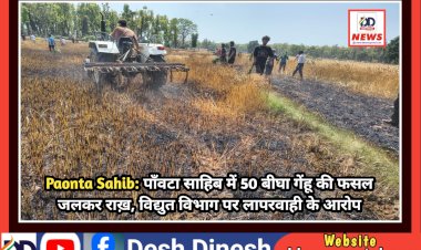 Paonta Sahib: पाँवटा साहिब में 50 बीघा गेंहू की फसल जलकर राख़, विद्युत विभाग पर लापरवाही के आरोप  ddnewsportal.com