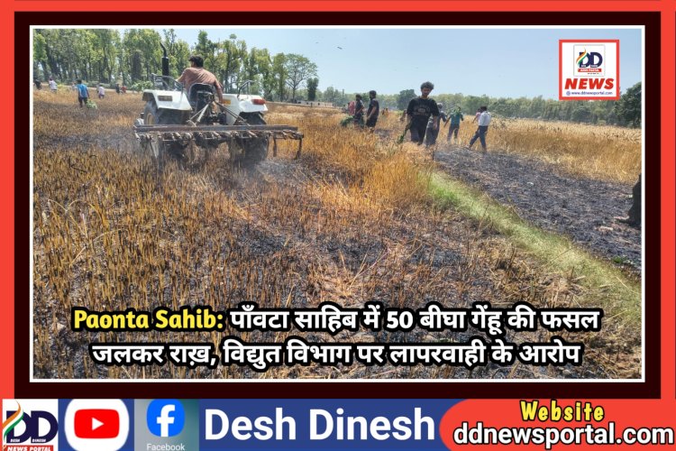 Paonta Sahib: पाँवटा साहिब में 50 बीघा गेंहू की फसल जलकर राख़, विद्युत विभाग पर लापरवाही के आरोप  ddnewsportal.com