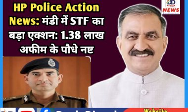 HP Police Action News: मंडी में STF का बड़ा एक्शन: 1.38 लाख अफीम के पौधे नष्ट ddnewsportal.com