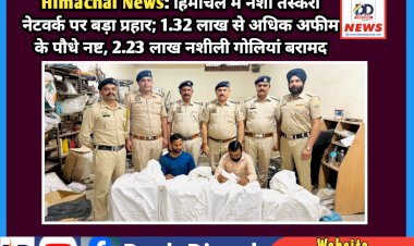 Himachal News: हिमाचल में नशा तस्करी नेटवर्क पर बड़ा प्रहार; 1.32 लाख से अधिक अफीम के पौधे नष्ट, 2.23 लाख नशीली गोलियां बरामद  ddnewsportal.com