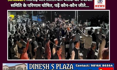 Sirmaur: शिलाई और तिलोरधार ब्लाॅक की पंचायत समिति के परिणाम घोषित, पढ़ें कौन-कौन जीते...  ddnewsportal.com