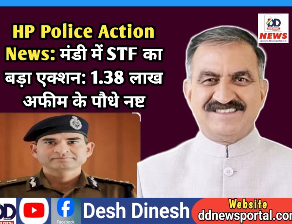 HP Police Action News: मंडी में STF का बड़ा एक्शन: 1.38 लाख अफीम के पौधे नष्ट ddnewsportal.com