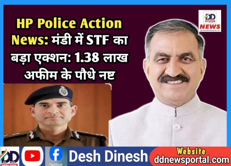 HP Police Action News: मंडी में STF का बड़ा एक्शन: 1.38 लाख अफीम के पौधे नष्ट ddnewsportal.com