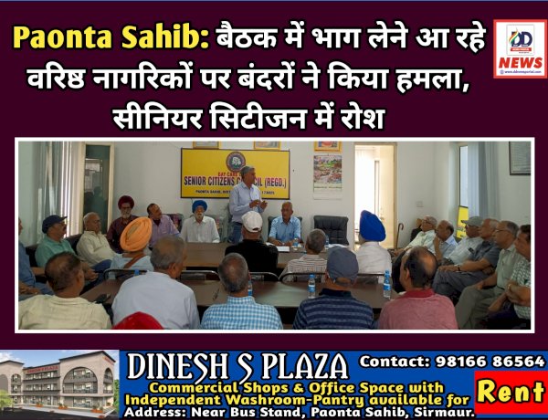Paonta Sahib: बैठक में भाग लेने आ रहे वरिष्ठ नागरिकों पर बंदरों ने किया हमला, संगठन में रोश ddnewsportal.com